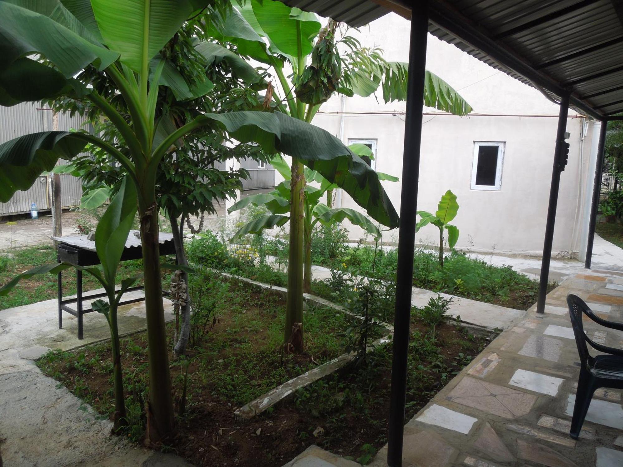 Zaza Hotel Kobuleti Ngoại thất bức ảnh